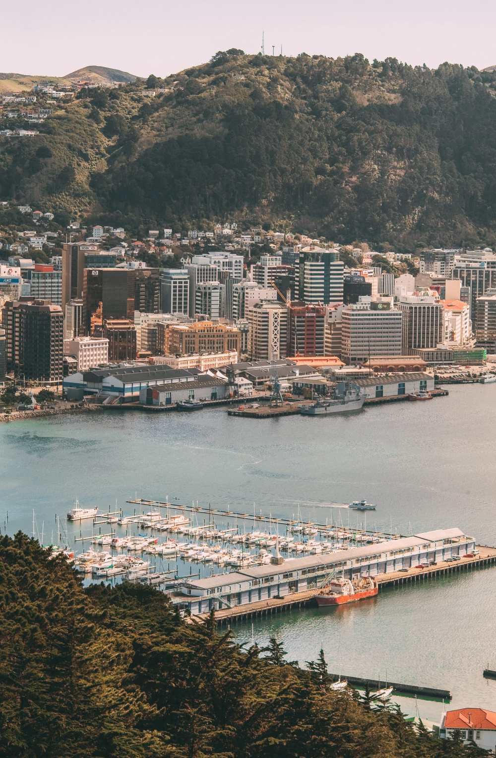 15 Things To Do In Wellington, New Zealand (13)