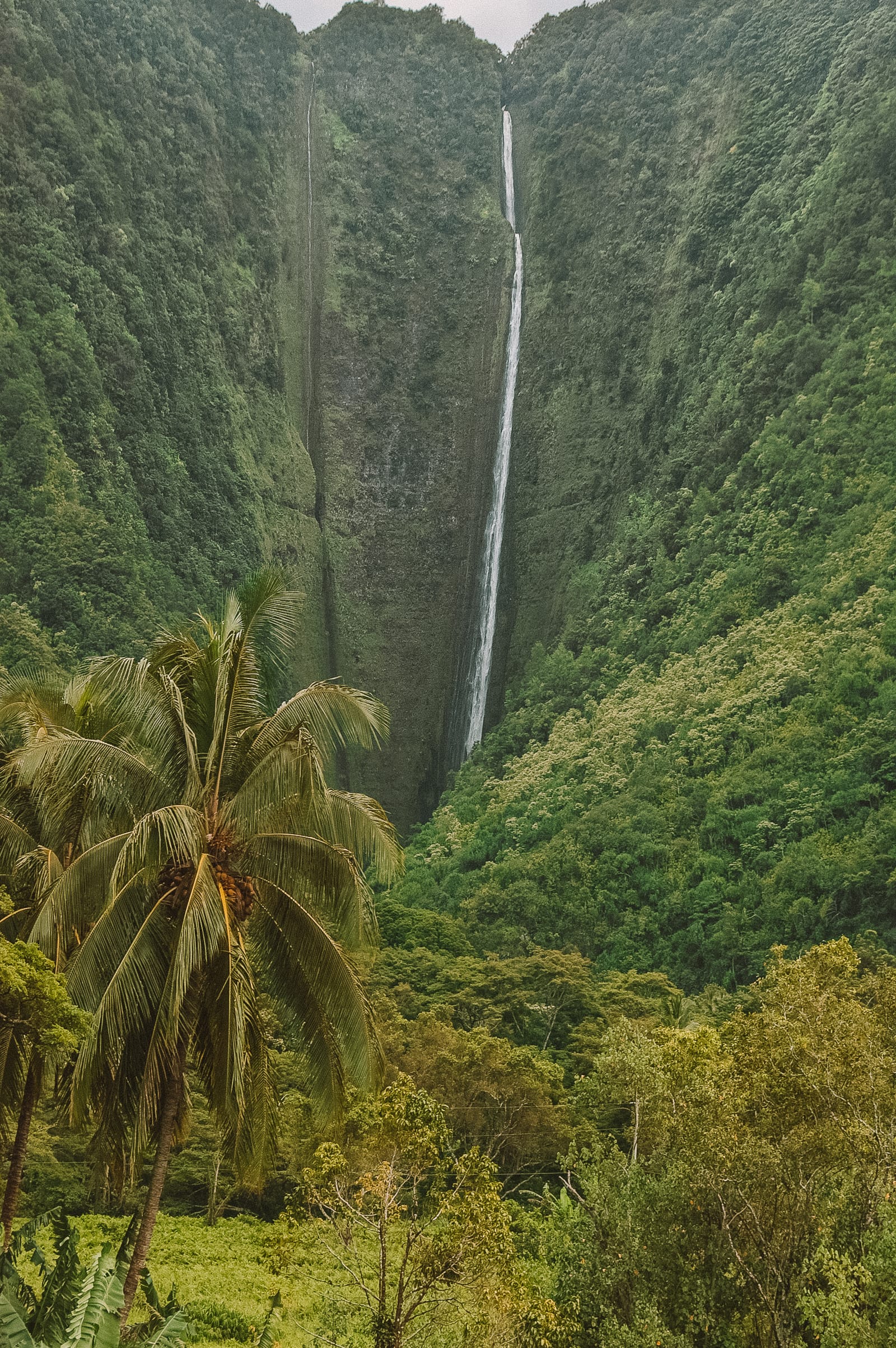 Best Hikes in Hawaii (15)