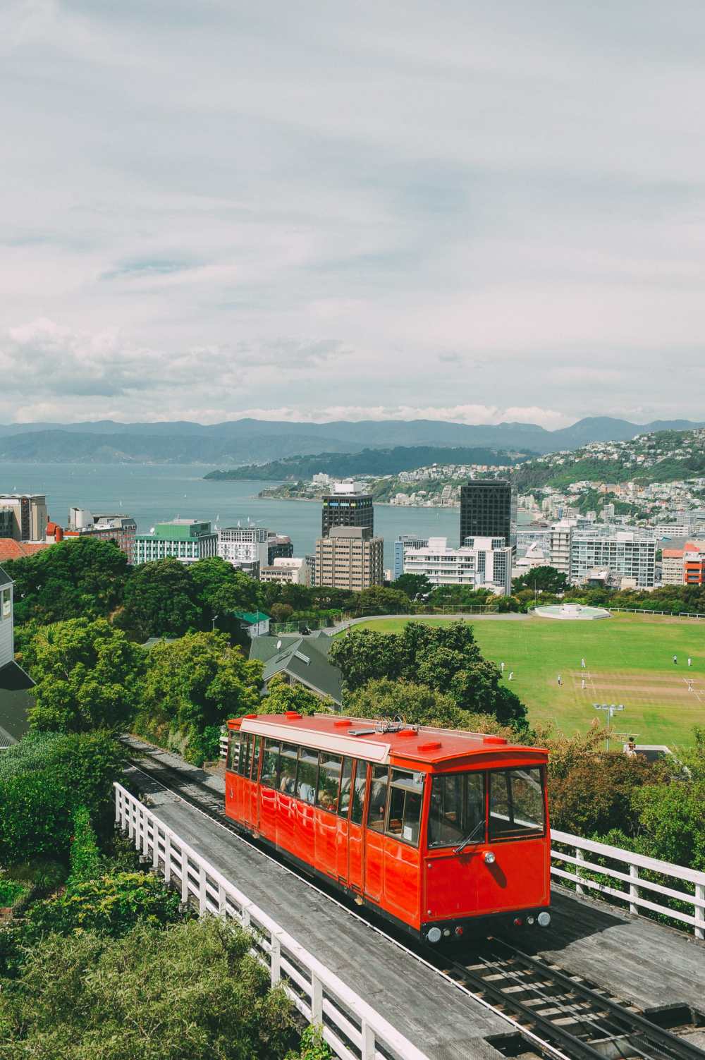 15 Things To Do In Wellington, New Zealand (7)