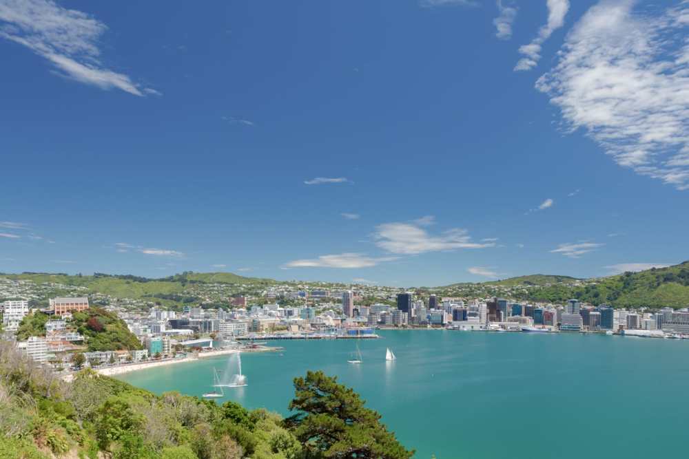 15 Things To Do In Wellington, New Zealand (8)