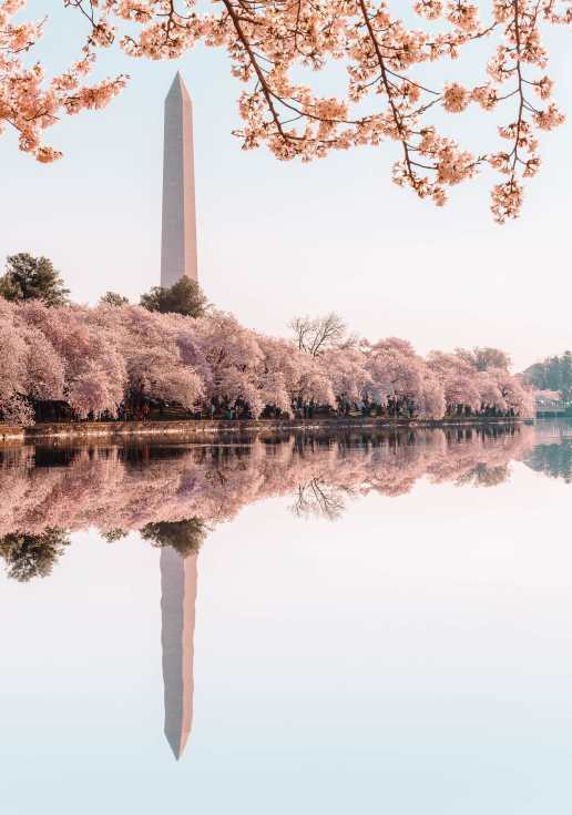 14 Best Things To Do In Washington D.C. (23)