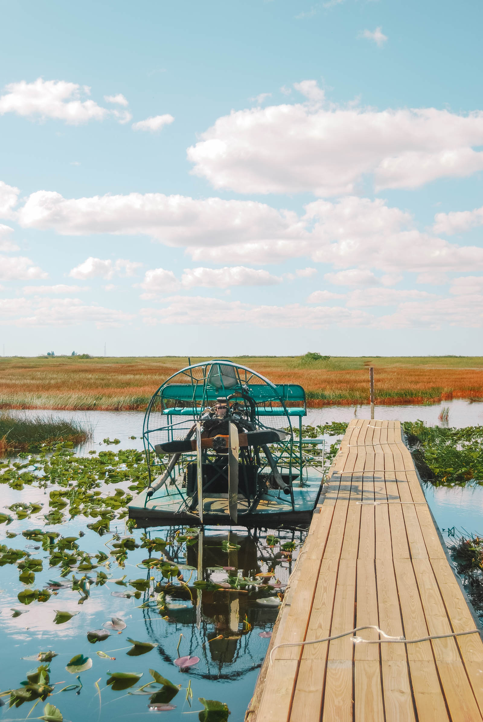 Best Things To Do In The Everglades (2)