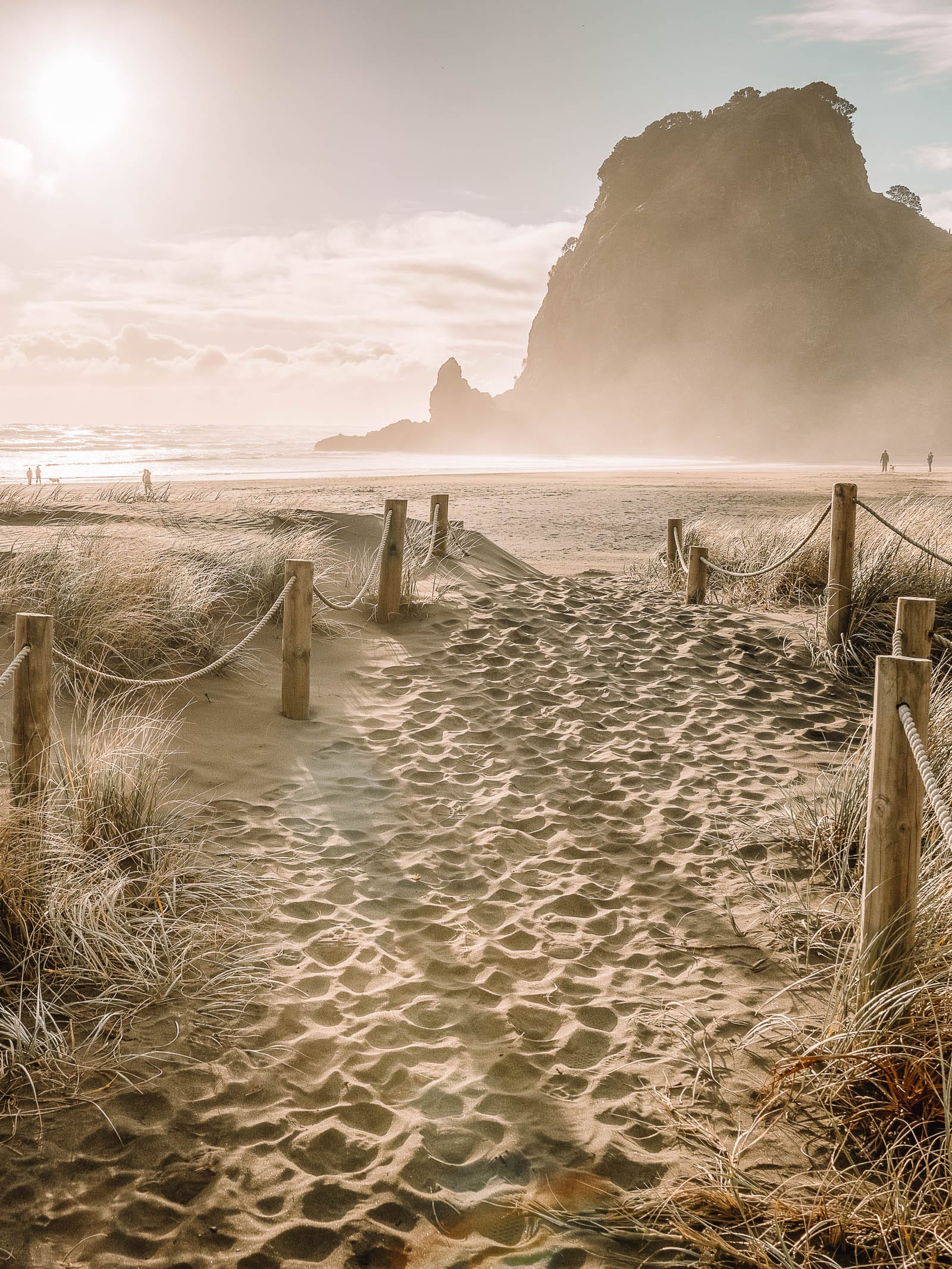 Best Beaches In New Zealand (32)