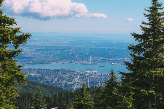 Finding Grizzly Bears On Grouse Mountain... In Vancouver, Canada (38)