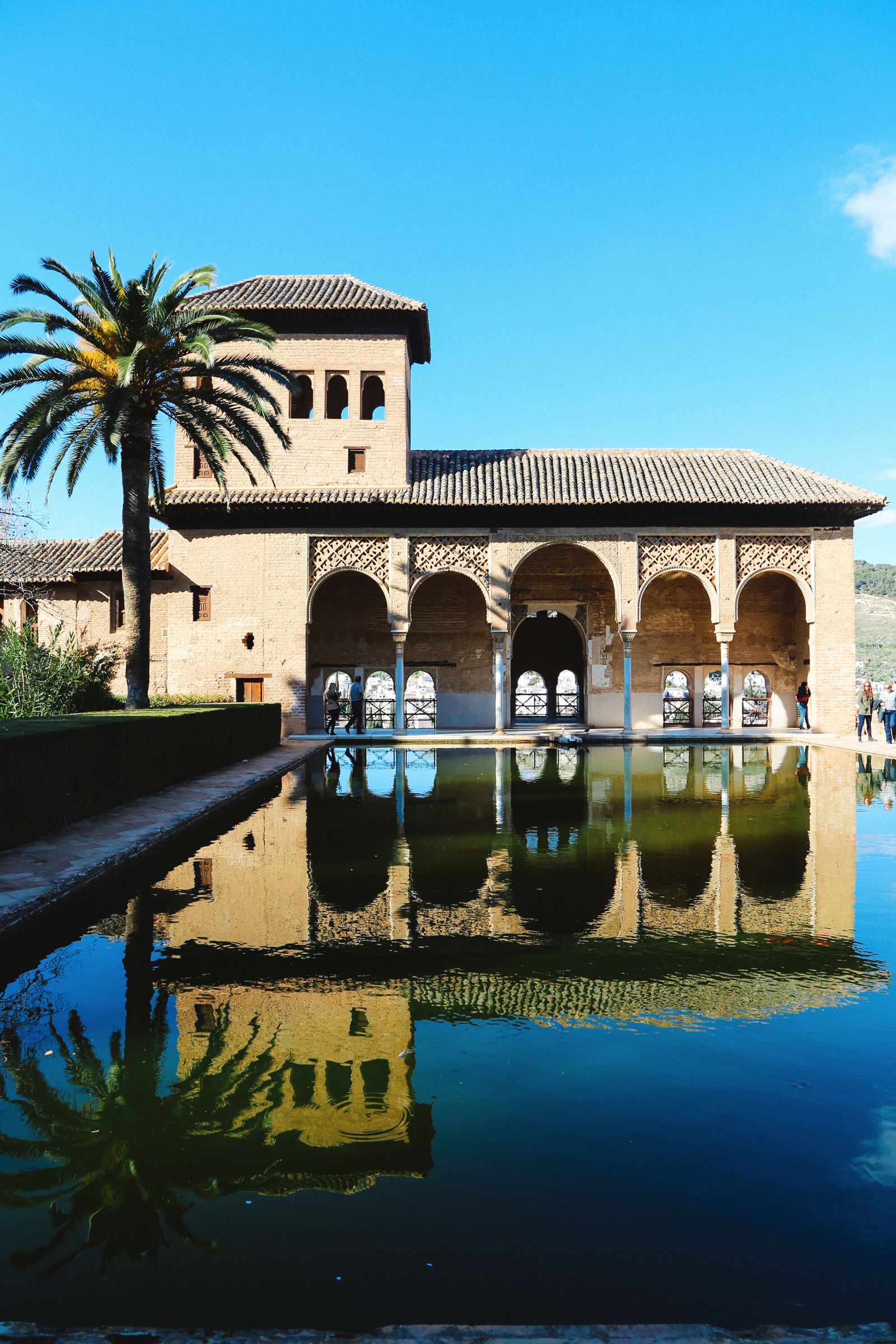 The Amazingly Intricate Alhambra Palace of Spain (80)