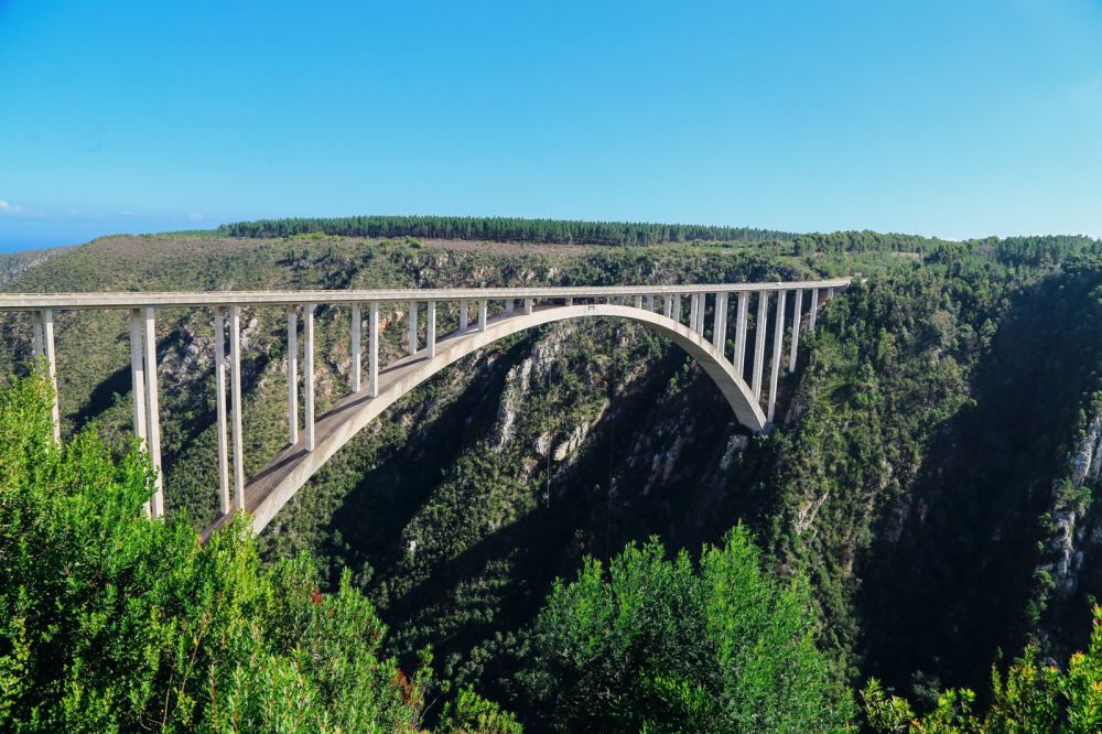 Eastern Cape Adventures In South Africa: Wines, 1,000 Year Old Trees And The Tallest Bungee In The World! (41)