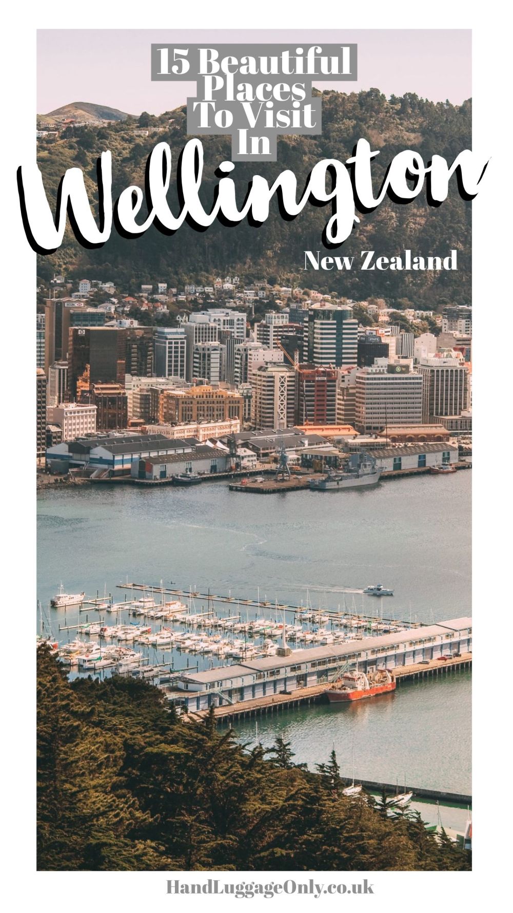 15 Things To Do In Wellington, New Zealand (1)
