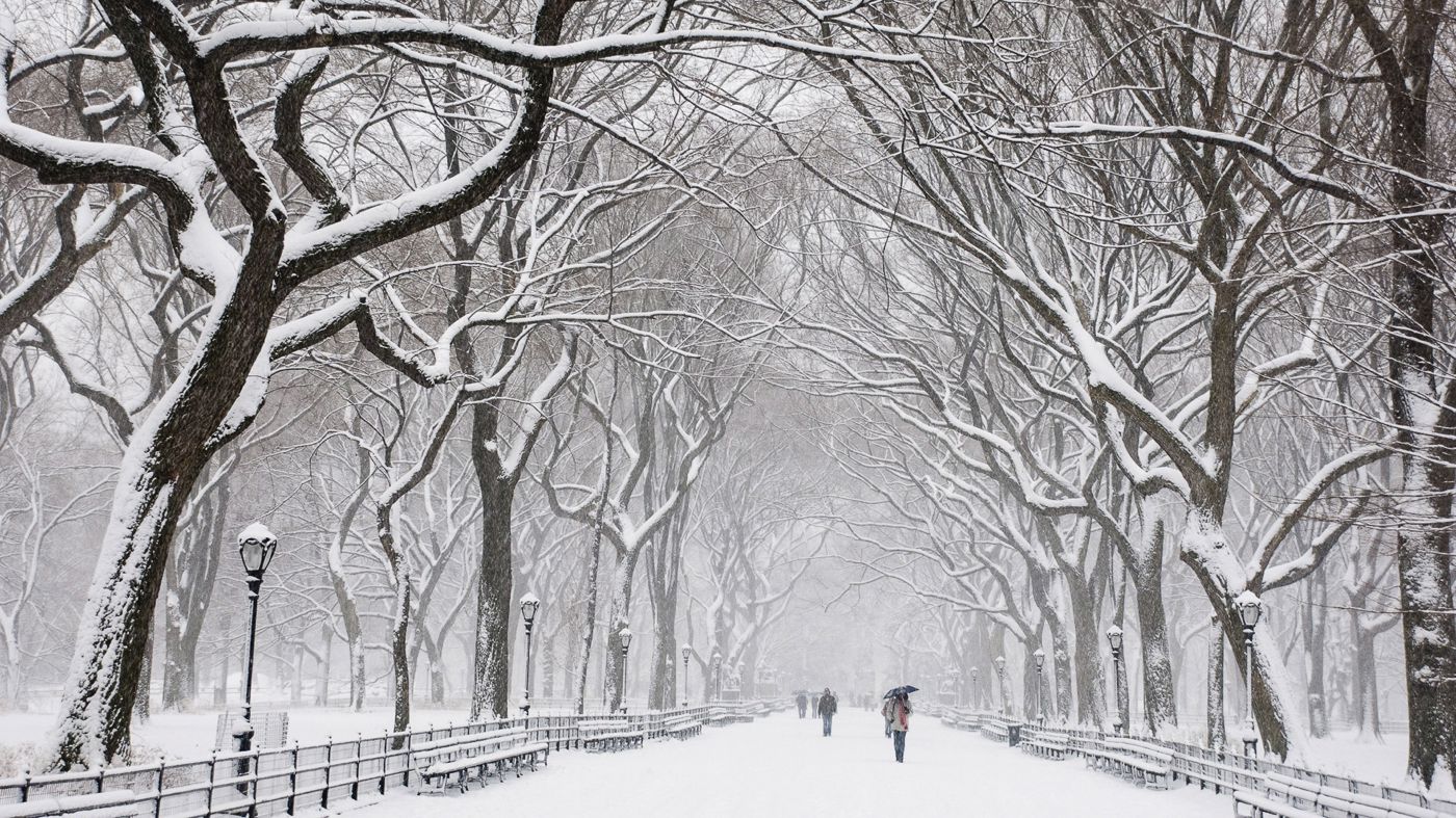 New York City Covered in Snow (1)